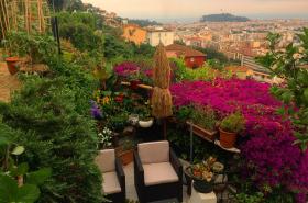 Le Panoramic Boutique Hôtel - photo 7