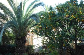 Villa les Cygnes - photo 12