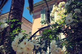 Hotel Villa Rose - photo 24