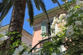 Hotel Villa Rose - photo 8