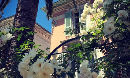 Hotel Villa Rose - photo 1