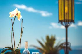 Hotel Le Saint Paul - photo 24