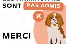 Hotel Flots d'Azur - photo 5