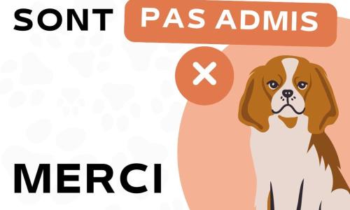 Hotel Flots d'Azur - photo 2