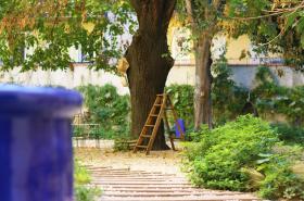 L'Abeille - Boutique Apartments - photo 23