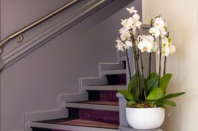 Hotel 64 Nice - photo 7