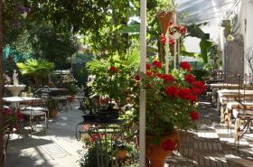 Logis Hôtel Villa Victorine - photo 21