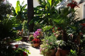 Logis Hôtel Villa Victorine - photo 13