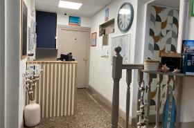 Logis Hôtel Villa Victorine - photo 21