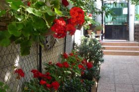 Logis Hôtel Villa Victorine - photo 10