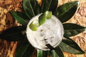 Hôtel le G - photo 6