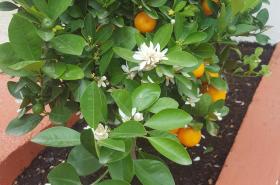 Hôtel Nice Côte d'Azur - photo 9